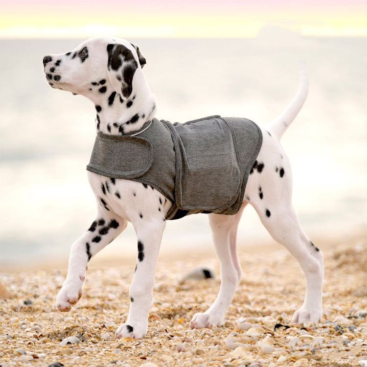 How to Calm a Dog During Bath Time: 7 Techniques That Actually Work