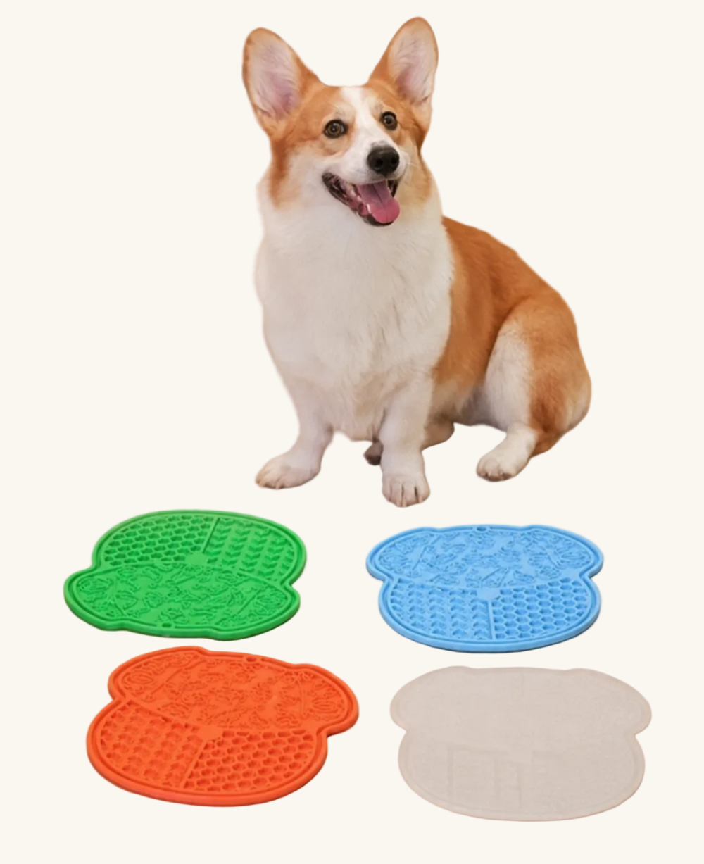 A corgi sitting behind four silicone paw-shaped lick mats in green, blue, orange, and white.